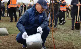 Экибастуз присоединился к республиканской акции 'Таза Қазақстан', в то время как Павлодар справляется с последствиями первого снегопада