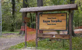 В Алматы деревья рощи Баума останутся в безопасности: команда акима уверяет, что природа не пострадает в процессе благоустройства