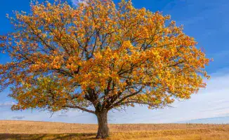 С резким изменением погоды в Казахстане: как холод и тепло влияют на повседневную жизнь граждан