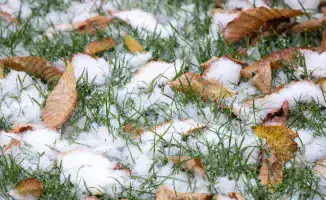 На юге Казахстана ожидается тепло до +22°C, в то время как на севере страны прогнозируются снег и мороз. Синоптики сообщили о значительных температурных контрастах в разных регионах страны в пятницу, 3 октября.