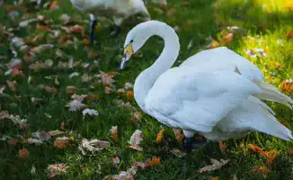 Ботанический сад Алматы изменяет график работы: новые часы посещения уже объявлены