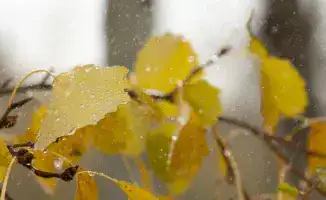 Солнце уходит: дожди и снег на смену теплу