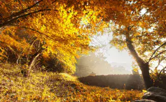 Казахстан: Заморозки на севере, тепло на юге