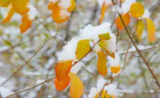 Зима стучится в двери: Казахстан готовится к снежным сюрпризам и морозным объятиям в выходные