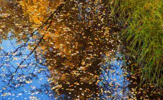 Казахстанцы готовятся к резкому перепаду температур: как временное потепление повлияет на повседневную жизнь