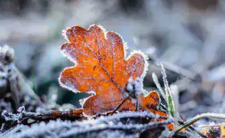 Север в шубе, юг в шортах: погода Казахстана 14 октября