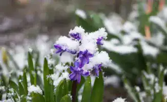 Снег и заморозки в Казахстане: как переменная облачность повлияет на погодные условия в регионах 19 октября