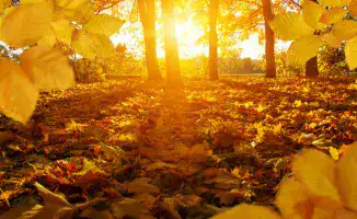 Казахстан: Тепло днём, морозные ночи ожидают в начале октября