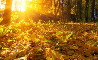 Тепло возвращается: в Казахстане ожидается до 25 градусов тепла в четверг, 23 октября, при переменной облачности и без осадков.