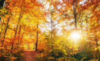 Тепло вернётся в Казахстан: 24 октября ожидается сухая погода