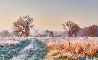 Казахстан в плену осеннего тумана: заморозки и загадочные облака накроют города 15 октября