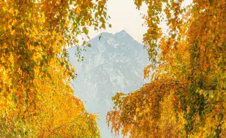 Алматы в золотом сиянии: Дмитрий Доценко запечатлел осенние сказки на фоне гор