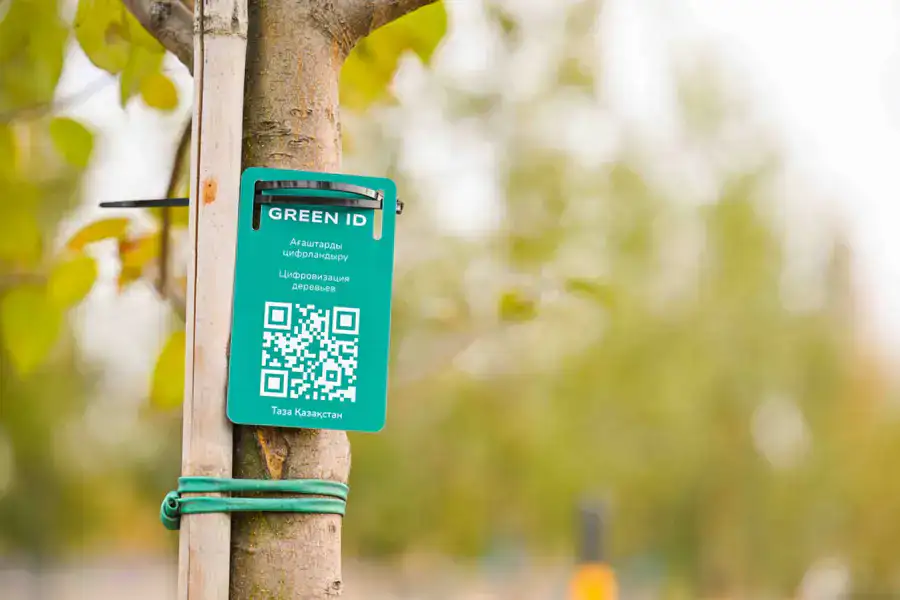 Ботанический сад