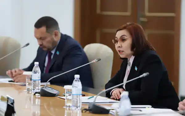 Депутаты, эксперты и представители госорганов обсудили вопросы повышения привлекательности воинской службы (7)