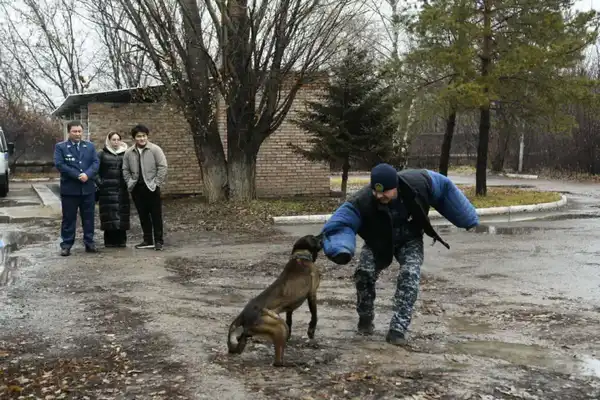 «Esirtkisiz Elorda»: в Астане студентов обучили тонкостям кинологической службы (9)