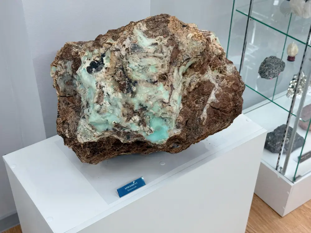 Столичные школьники открыли для себя мир минералов и ценности государственной службы (6)