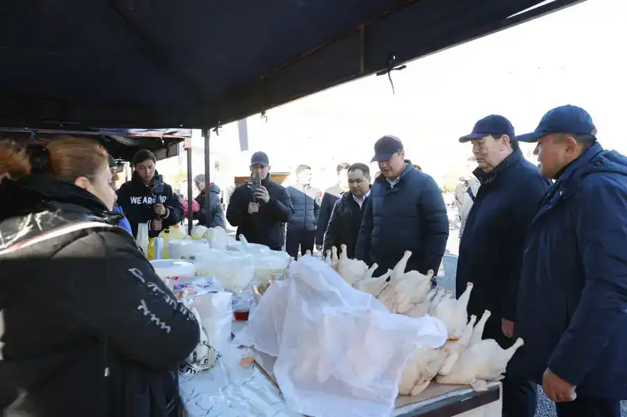 Ербол Карашукеев проверил цены и ассортимент на ярмарке в Таразе (2)