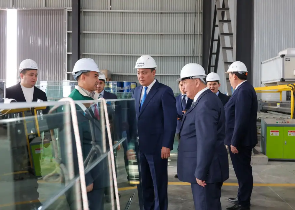 В Жамбылской области запущена первая малая промышленная зона: старт дан производству стройматериалов (2)