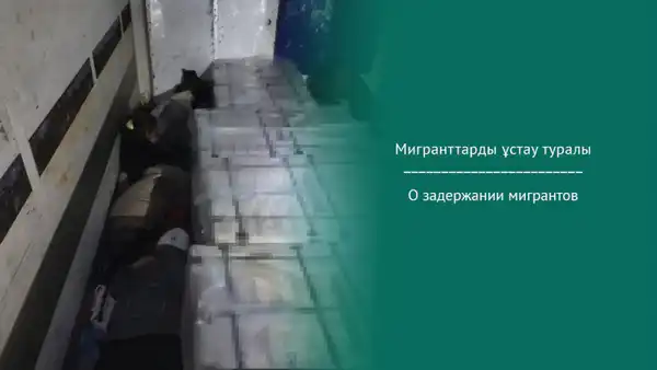 О задержании мигрантов (4)