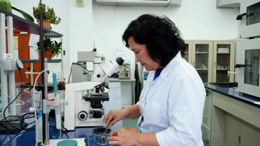 Ученые КазНУ разработали эффективный способ защиты семян (8)