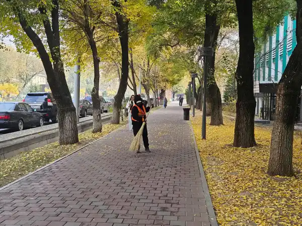 Алматы усиливает экологические меры в рамках программы «Таза Қазақстан» (5)