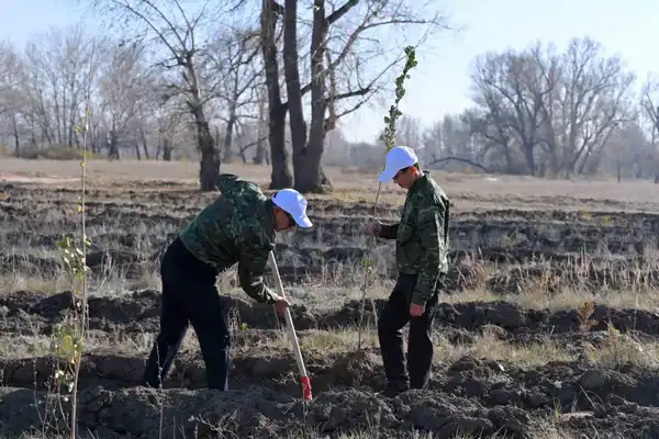 Аким области: Работы по обеспечению чистоты в регионе должны вестись круглый год – зимой и летом (6)