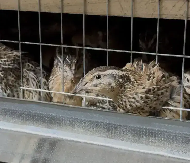 От идеи до собственного дела: как в Карагандинской области работает программа поддержки молодёжного бизнеса (3)