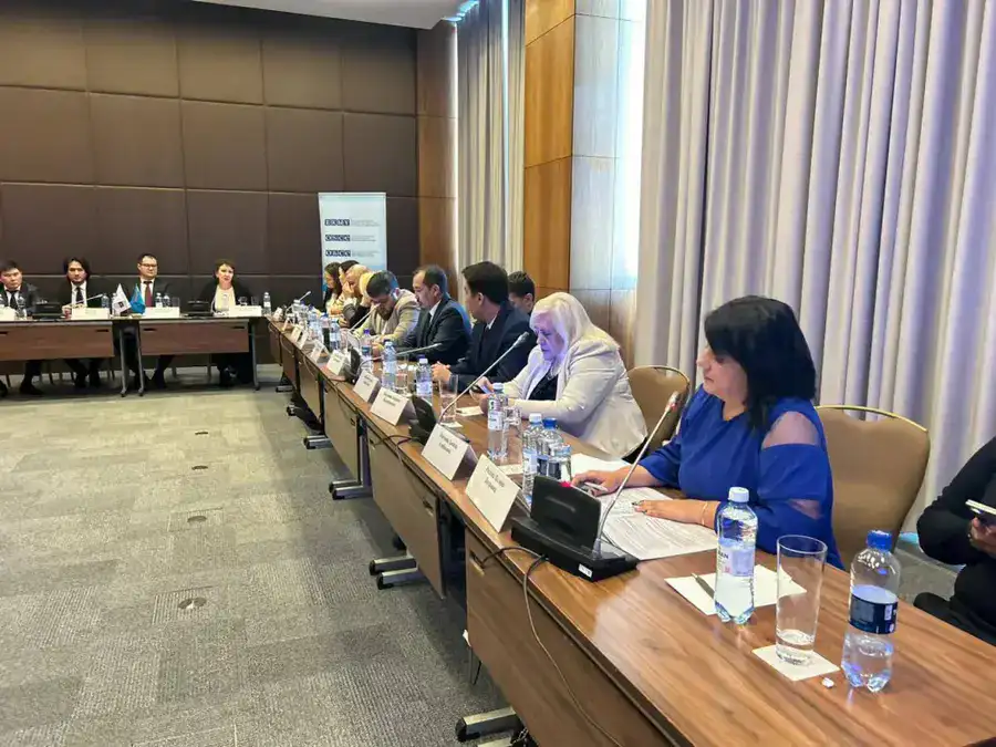 Круглый стол «Реализация принципов Орхусской конвенции в Казахстане: результаты и приоритетные направления дальнейшего развития» (2)