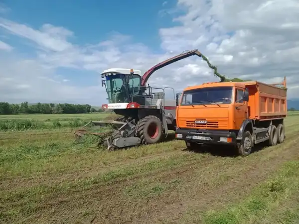 В Ескельдинском районе Жетісу на 1700 гектарах земли применяются влагосберегающие технологии (4)