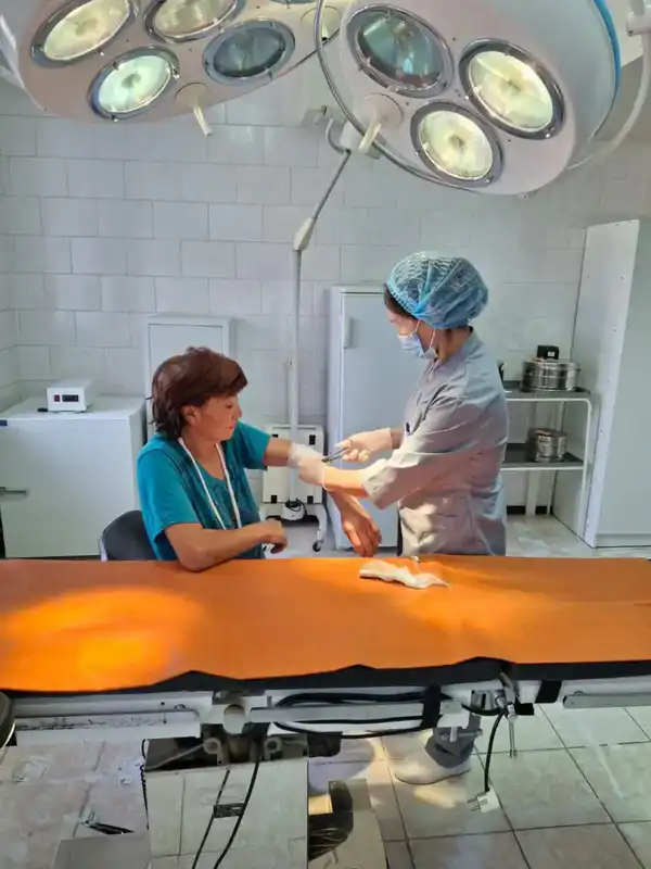 В этом году в область Абай переехали около 500 человек (2)