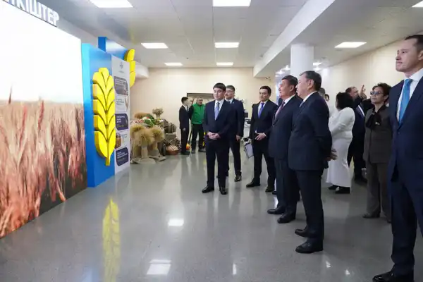 Рекордный урожай и громкое признание: в Акмолинской области наградили лучших аграриев (4)