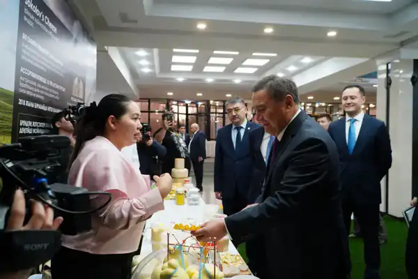 Лучшие предприниматели Акмолинской области представили продукцию на выставке, посвященной Дню сельхозработников (6)