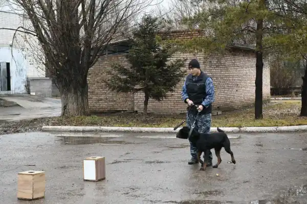 «Esirtkisiz Elorda»: в Астане студентов обучили тонкостям кинологической службы (7)