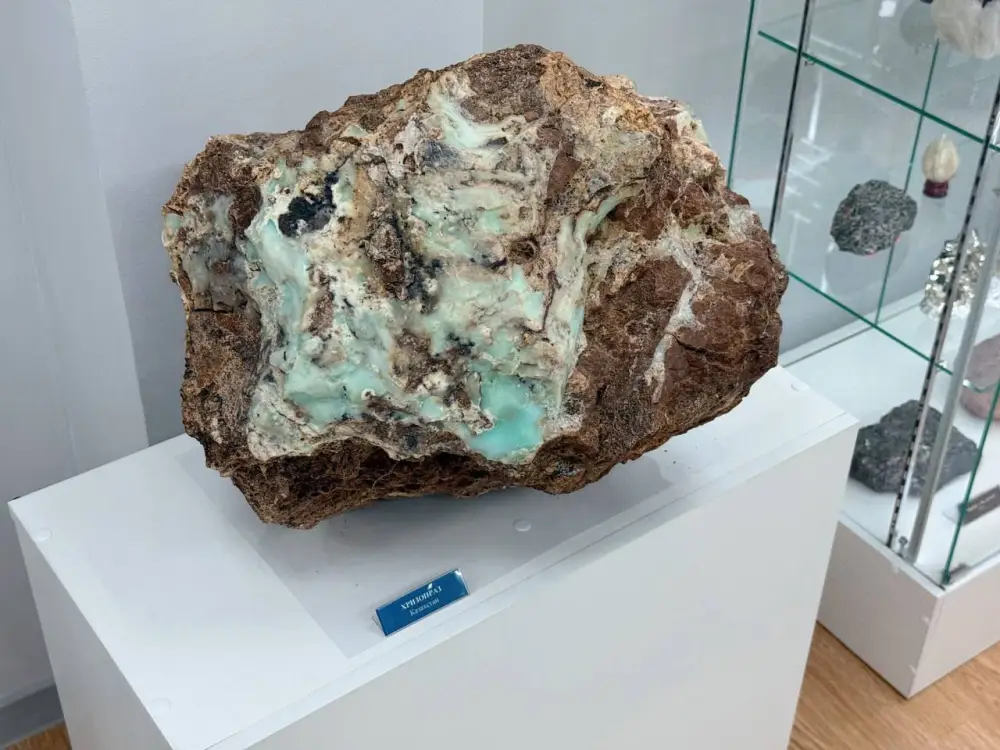 Столичные школьники открыли для себя мир минералов и ценности государственной службы (2)