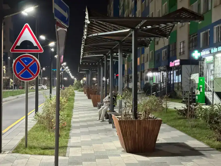 Наурызбайском районе Алматы реализуется 34 проекта по «Бюджету народного участия» (2)