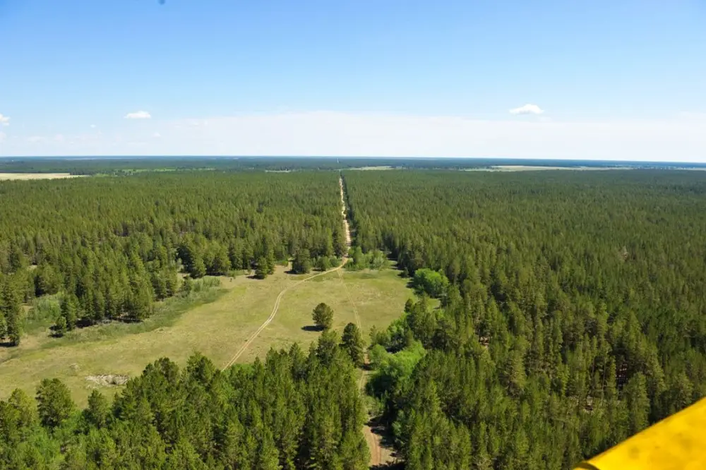 Беречь лес – обязанность каждого поколения: в Семее провели экологическую лекцию для студентов (7)
