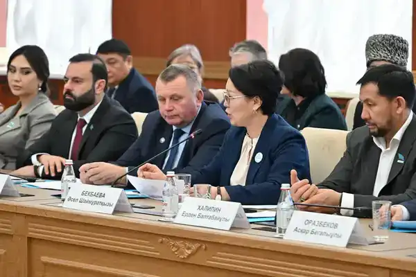 В Карагандинской области спикер Сената обсудил с депутатами маслихатов выполнение поручений Президента (5)