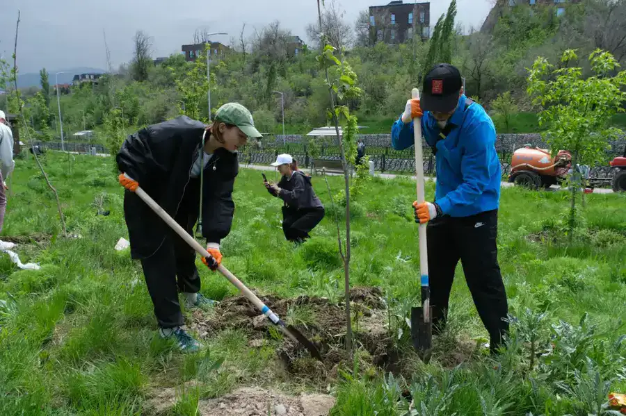 Чистота под контролем: в Наурызбайском районе установили 40 камер на мусорных площадках (3)