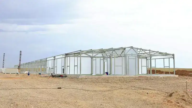 Как в Карагандинской области сдерживают цены на продукты (8)