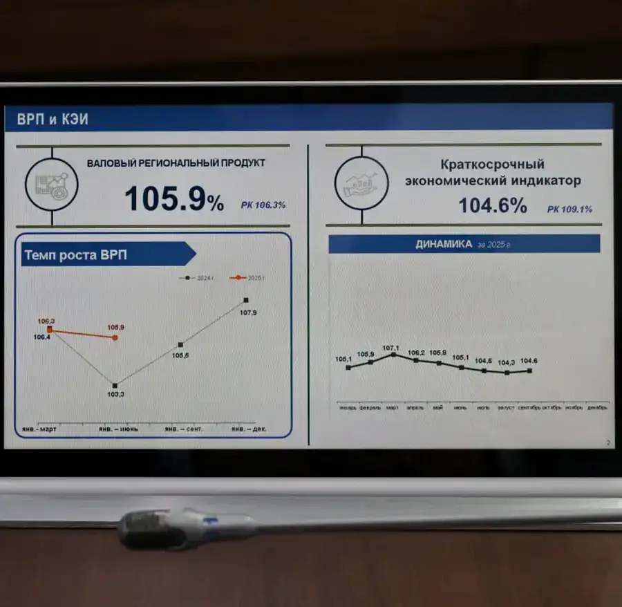 В Павлодарской области рассмотрены ожидаемые итоги социально-экономического развития за 2025 год (3)