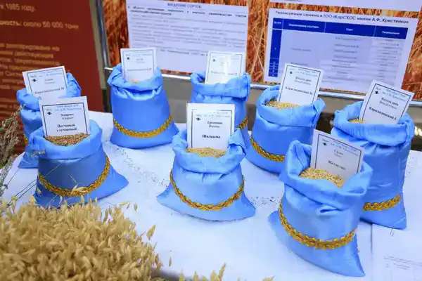 В Карагандинской области наградили лучших работников сельского хозяйства (10)