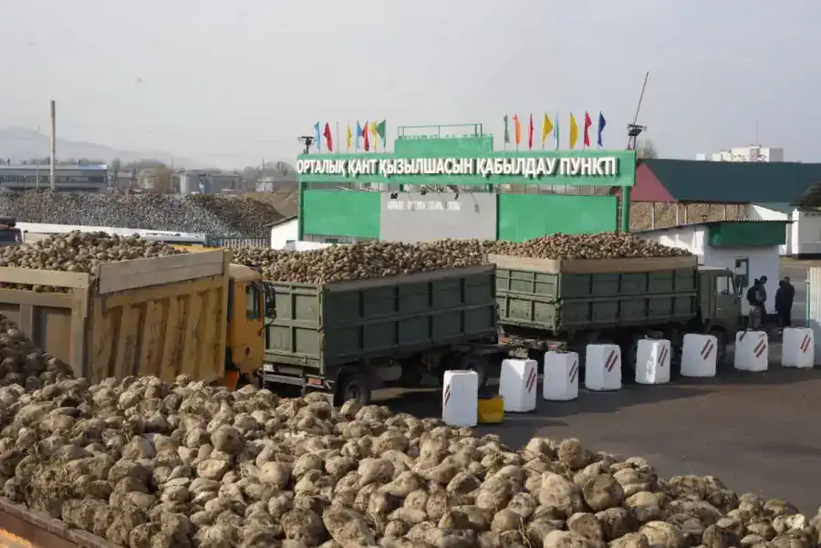 C начала года в Коксуском районе произведено сельхозпродукции на 30,5 млрд. тенге (5)