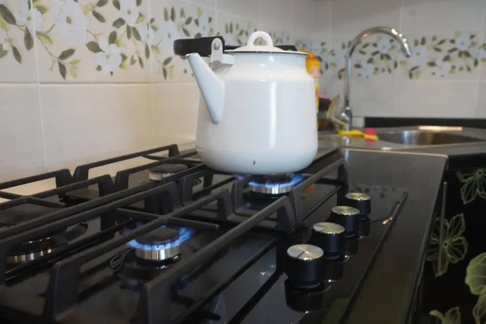 Газ пришёл в Коянды: 20 тысяч жителей агломерации Астаны получили голубое топливо (3)