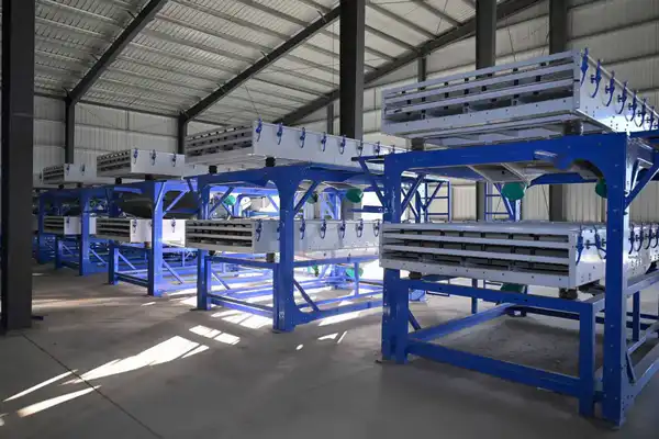 Строительство завода по производству комбикормов продолжается в области Абай (3)