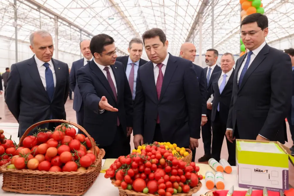 Тепличный комплекс «ALSERA KZ» мощностью 155 тыс. тонн томатов в год запустили в Шымкенте (6)