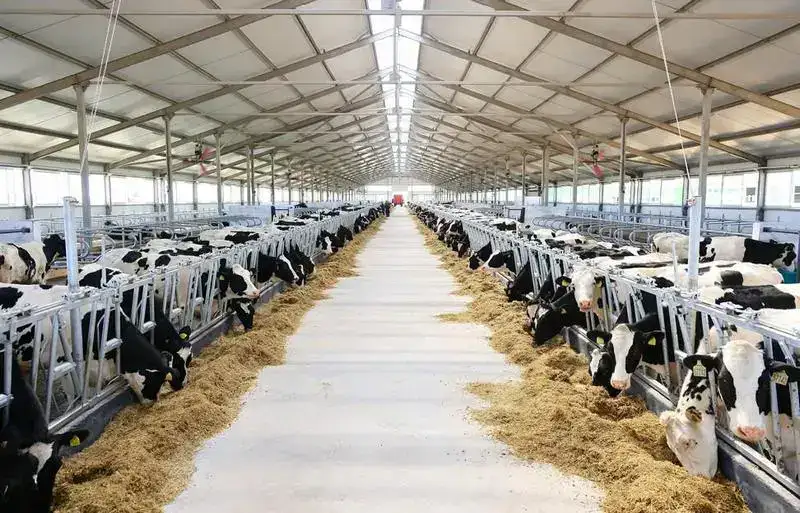 От GPS-трекеров до «умных» ферм: как современные технологии привлекают молодёжь в сёла Карагандинской области (2)