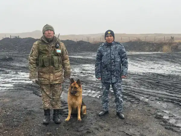 Сверток среди угля: как гвардеец сорвал попытку проноса 8 телефонов в УИС (2)