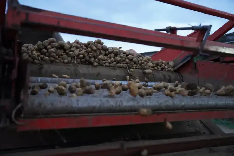 В Казахстане отмечен рост валовой продукции сельского хозяйства на 5,4% (2)