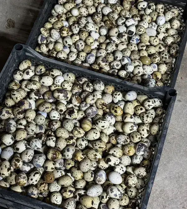 От идеи до собственного дела: как в Карагандинской области работает программа поддержки молодёжного бизнеса (2)