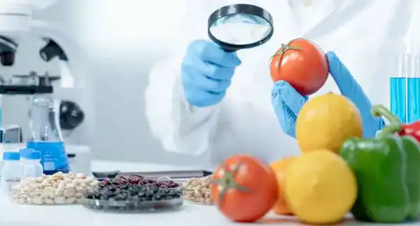 Казахстан повышает качество фитосанитарного контроля в интересах продовольственной безопасности (2)